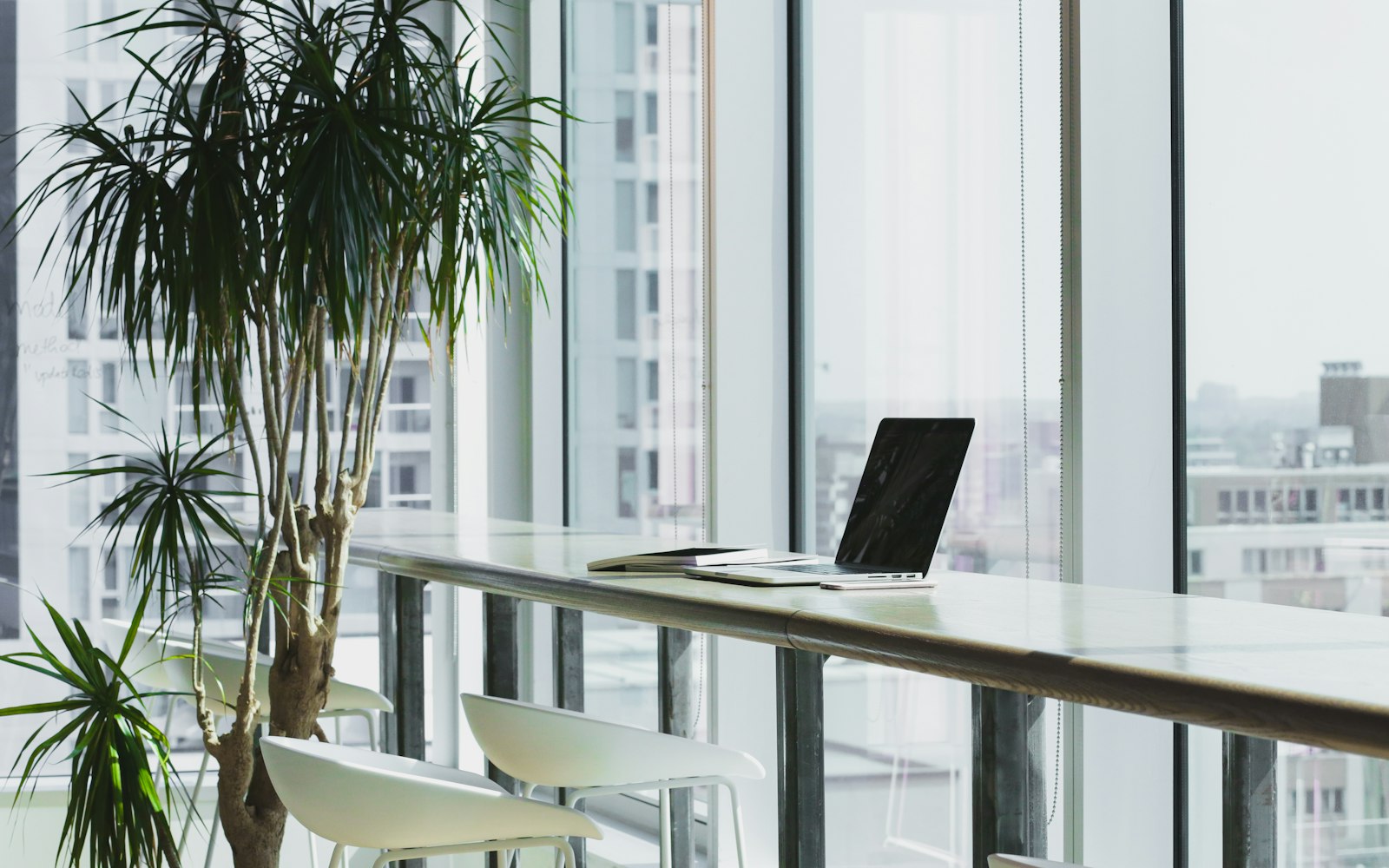 Espacio de trabajo del estudio junto a los ventanales